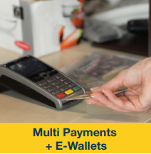 multi payments+e-wallets